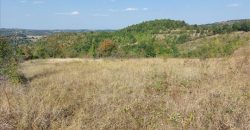 Bačevica-Lasovski del 6ha 96a 47kvm