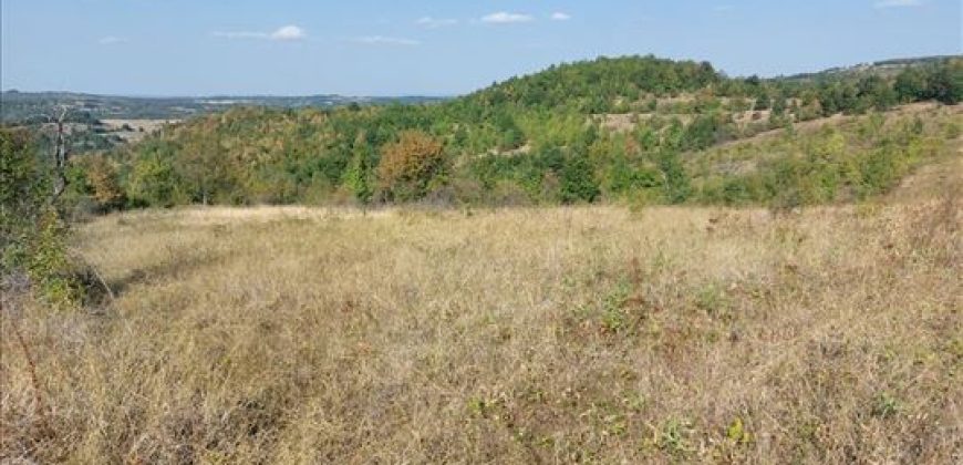 Bačevica-Lasovski del 6ha 96a 47kvm