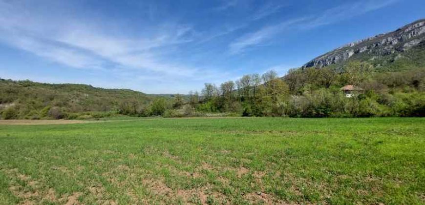 Zaječar – Lasovo 5ha 46a 76kvm