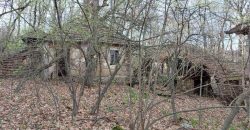 Boljevac, Rtanj – Vrbovac 4ha 42a 44kvm + 92kvm