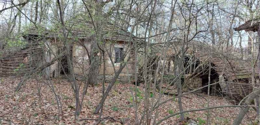 Boljevac, Rtanj – Vrbovac 4ha 42a 44kvm + 92kvm