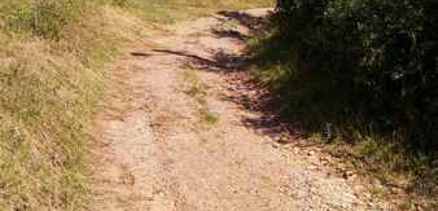 Boljevac, Rtanj – Osnić 85,51Ara