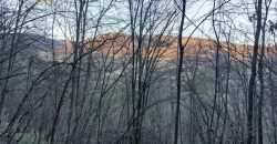 Boljevac, Rtanj – Jablanica 4ha 65a 51kvm