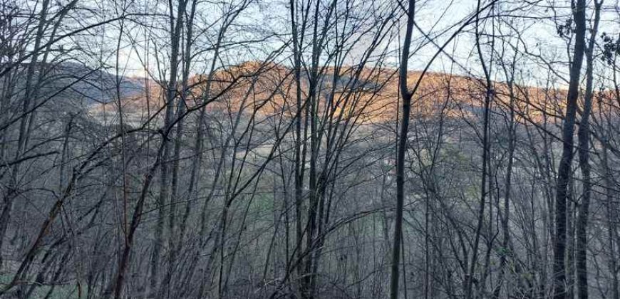 Boljevac, Rtanj – Jablanica 4ha 65a 51kvm