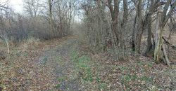 Boljevac, Rtanj – Mirovo 14ari 99kvm