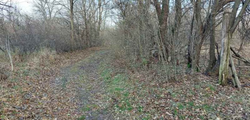 Boljevac, Rtanj – Mirovo 14ari 99kvm