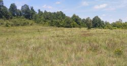 Boljevac, Rtanj – Rujište 85ari