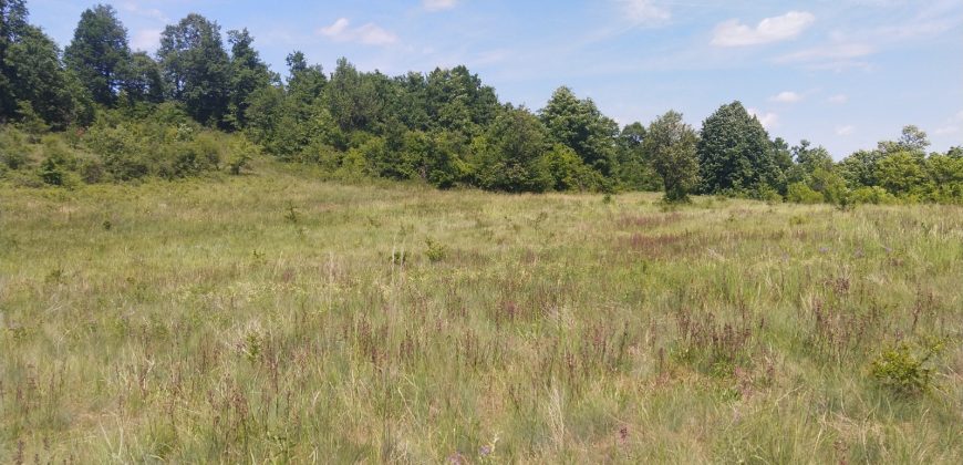 Boljevac, Rtanj – Rujište 85ari