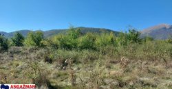 Rtanj-Ilino 44a 10kvm