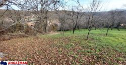 Rtanj – Jablanica 10a+42kvm stara kuća