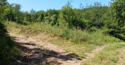 Boljevac, Rtanj – Osnić 85,51Ara