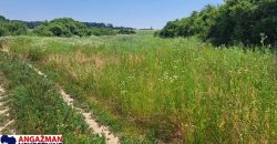 Barajevo – Veliki borak 1ha 60ari 52kvm