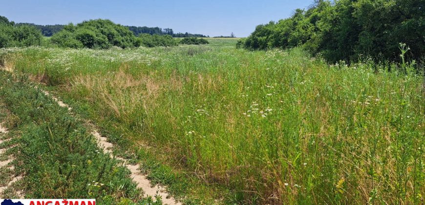 Barajevo – Veliki borak 1ha 60ari 52kvm