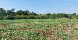 Lazarevac – Šopić 66,24ari