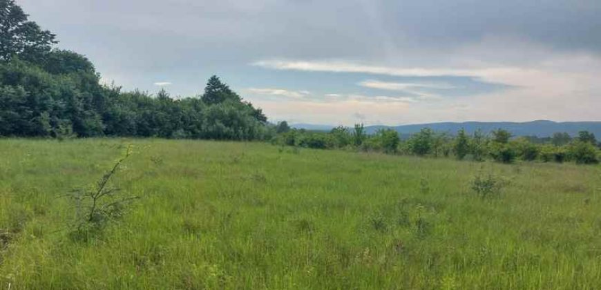 Boljevac, Rtanj – Mirovo 29a 91kvm