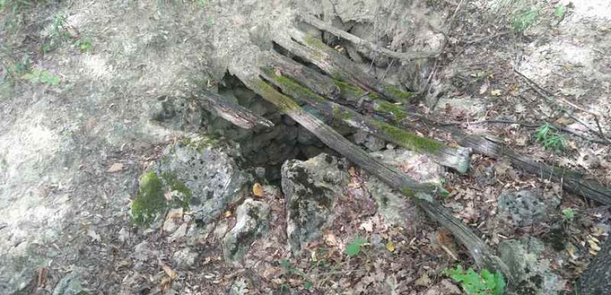 Boljevac, Rtanj – Vrbovac 63,69ari