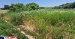 Barajevo – Veliki borak 1ha 60ari 52kvm