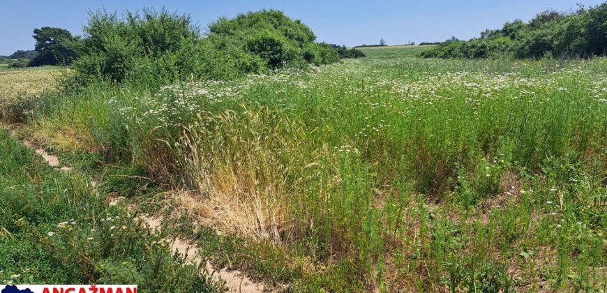 Barajevo – Veliki borak 1ha 60ari 52kvm