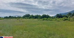 Boljevac, Rtanj – Mirovo 67,98ari