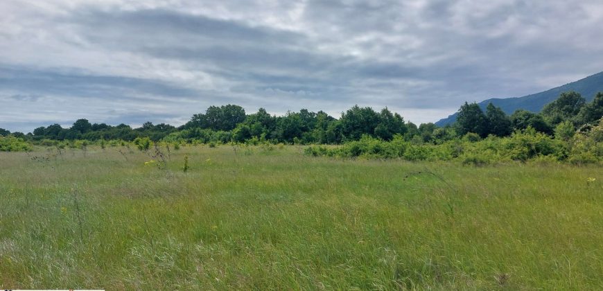 Boljevac, Rtanj – Mirovo 67,98ari