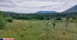 Boljevac, Rtanj – Mirovo 17,78ari