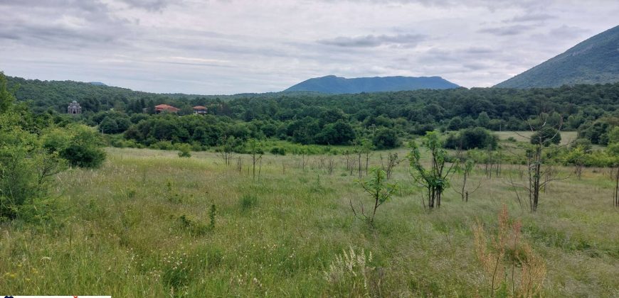 Boljevac, Rtanj – Mirovo 17,78ari