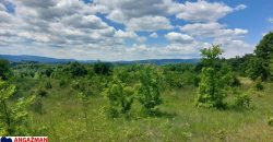 Boljevac, Rtanj – Mirovo 2ha 70ari 67kvm