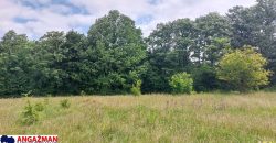 Boljevac, Rtanj – Mirovo 65,32ara