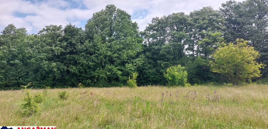 Boljevac, Rtanj – Mirovo 65,32ara