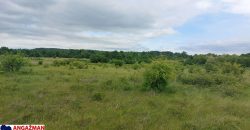 Boljevac, Rtanj – Mirovo 38,82ara