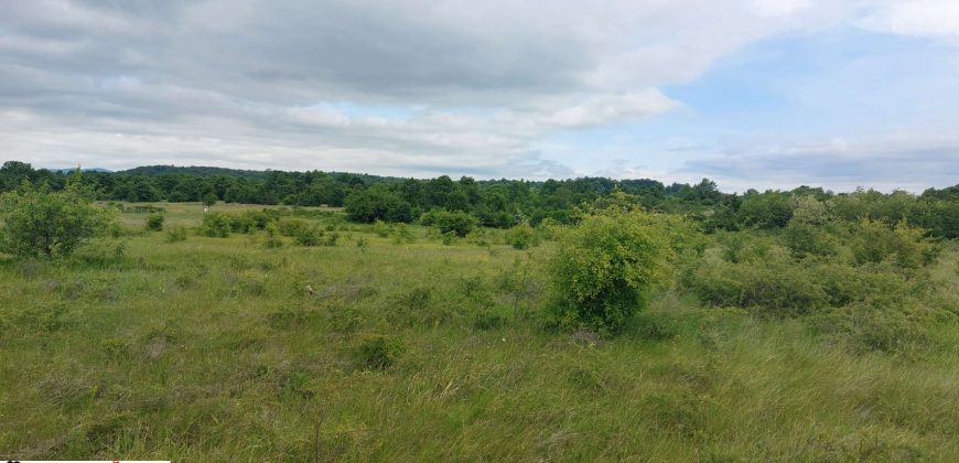 Boljevac, Rtanj – Mirovo 38,82ara