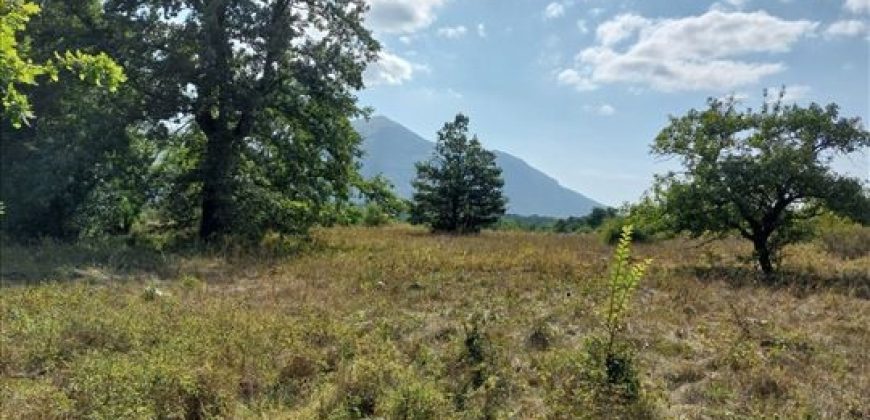 Parcele sa starom kućom 2ha7a31kvm