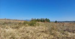 Ilino-dve parcele pov 1ha 43a 78kvm