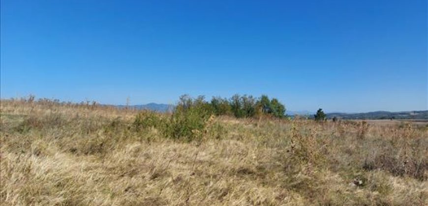 Ilino-dve parcele pov 1ha 43a 78kvm