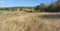 Bačevica-Lasovski del 6ha 96a 47kvm