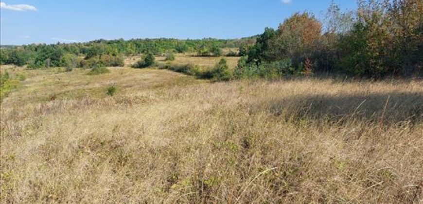 Bačevica-Lasovski del 6ha 96a 47kvm