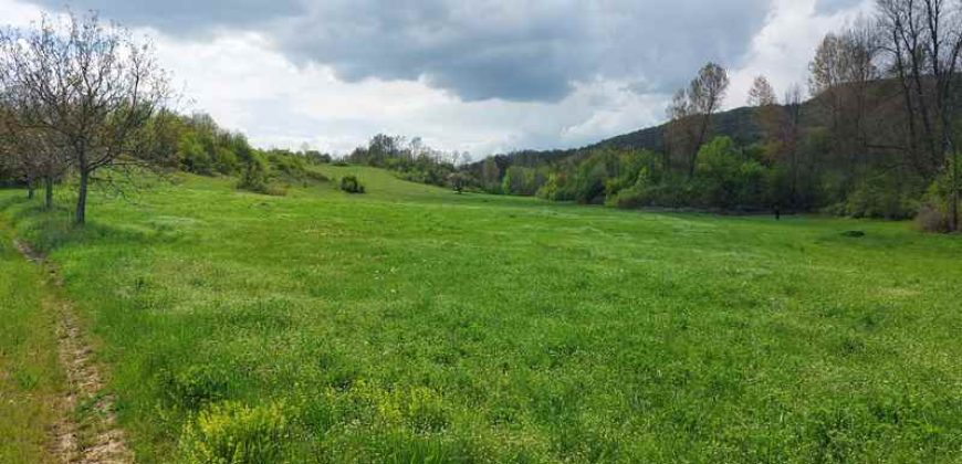 Zaječar – Gornja bela reka 3ha 23a 86kvm