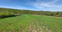 Zaječar – Lasovo 5ha 46a 76kvm