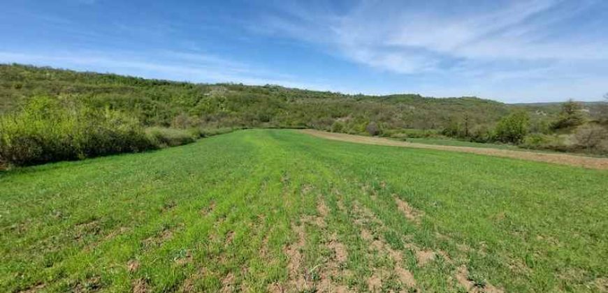 Zaječar – Lasovo 5ha 46a 76kvm