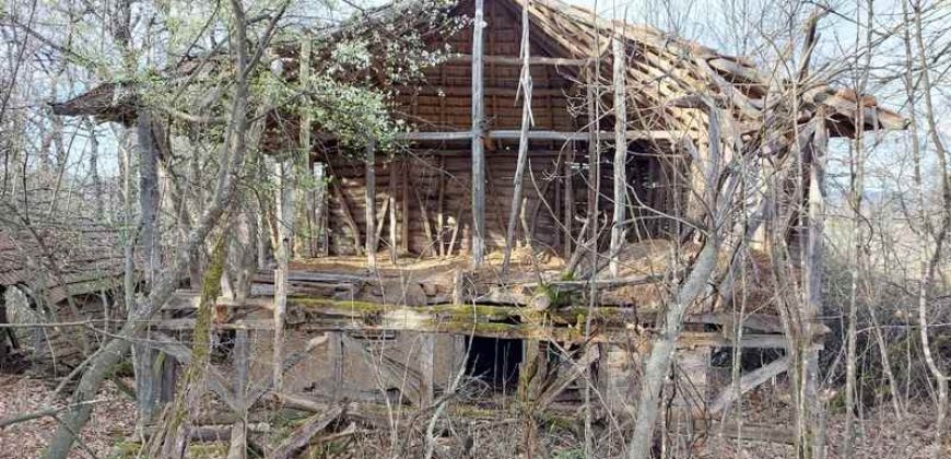 Boljevac, Rtanj – Vrbovac 4ha 42a 44kvm + 92kvm