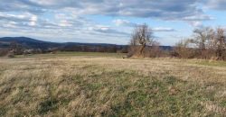Rtanj – Bačevica 54kvm + 11ha 44a 30kvm