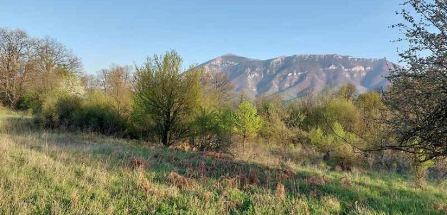 Rtanj – Jablanica 27kvm + 54a 46kvm