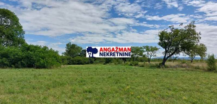 Boljevac, Rtanj – Ilino (68+26+22) + 3ha 3a 40kvm