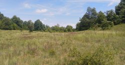 Boljevac, Rtanj – Rujište 85ari