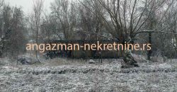 Boljevac, Rtanj, Bačevica – 70kvm + 6ari + 3,77ari