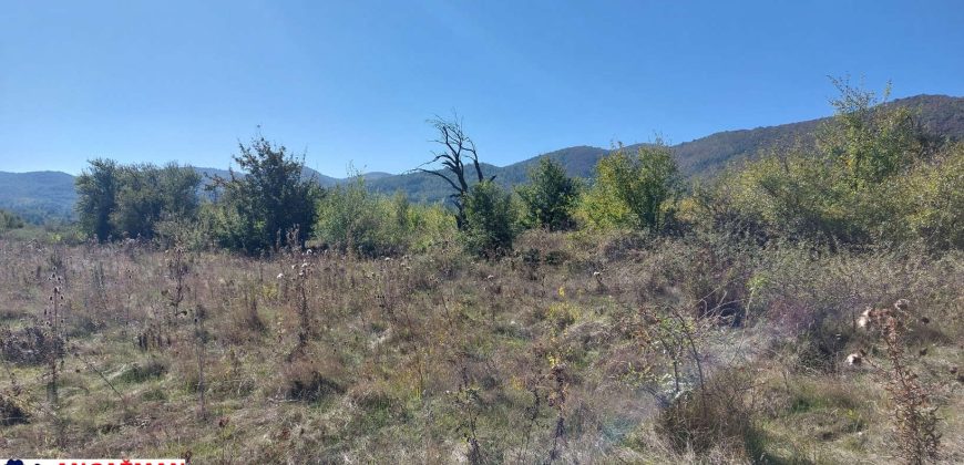 Rtanj-Ilino 44a 10kvm