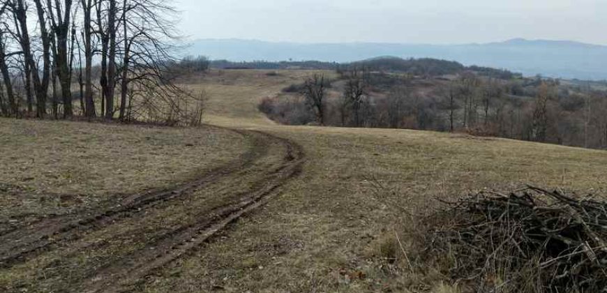 Boljevac, Valakonje – Bukovo 407,53ari