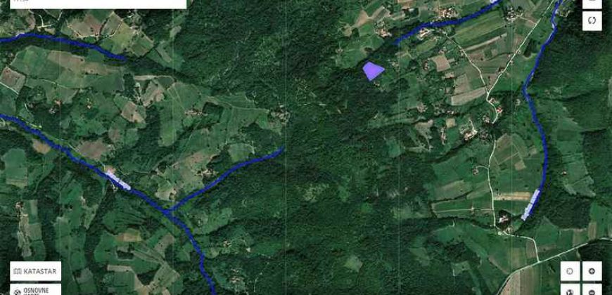 Boljevac, Rtanj – Osnić 85,51Ara