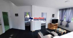 Borsko jezero – 250kvm + 17a 42kvm