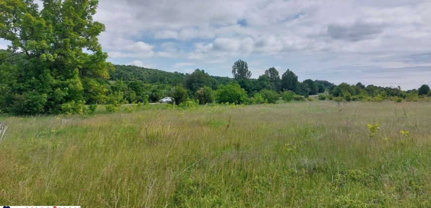 Boljevac, Rtanj – Mirovo 67,98ari